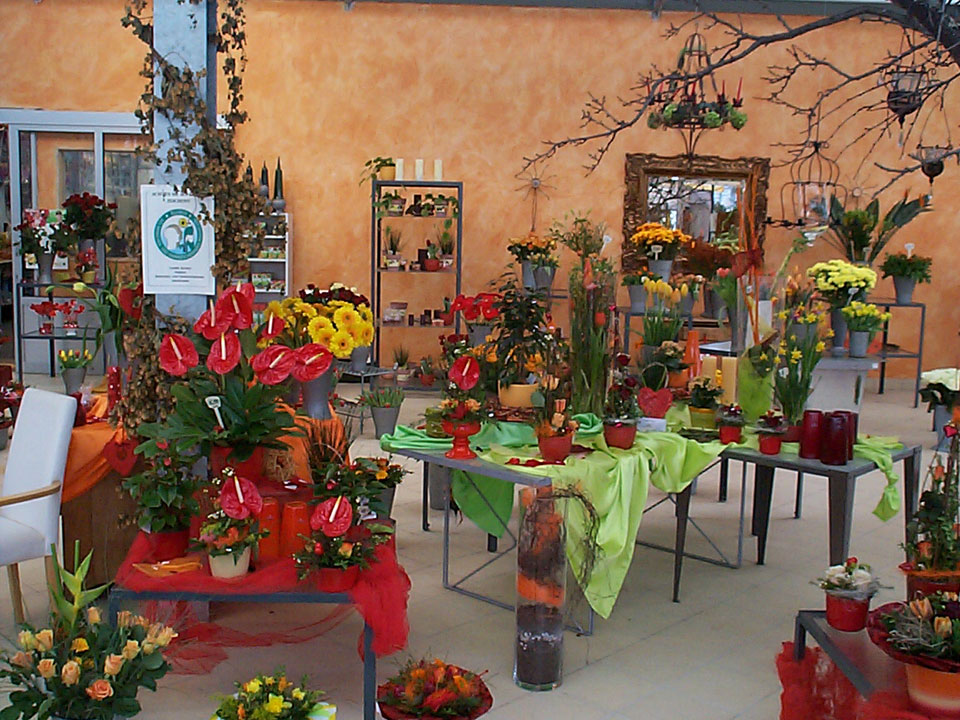 Rundgang durch das Blumenhaus Smedla - Gärtnerei und Blumenladen in Mainz