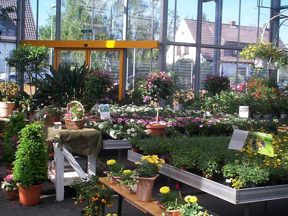 Rundgang durch das Blumenhaus Smedla - Gärtnerei und Blumenladen in Mainz