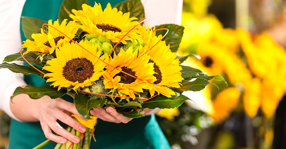 Kübelblumen und Blumensträuße