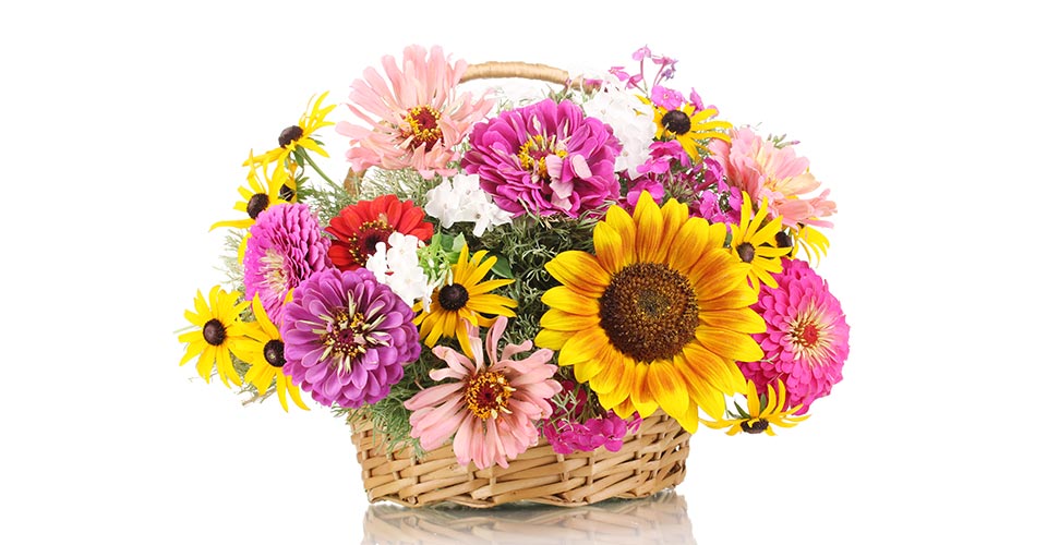 Kübelblumen und Blumensträuße und Blumenkörbe