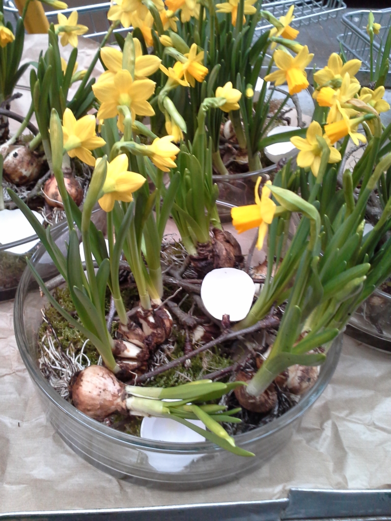Kübelblumen und Blumensträuße